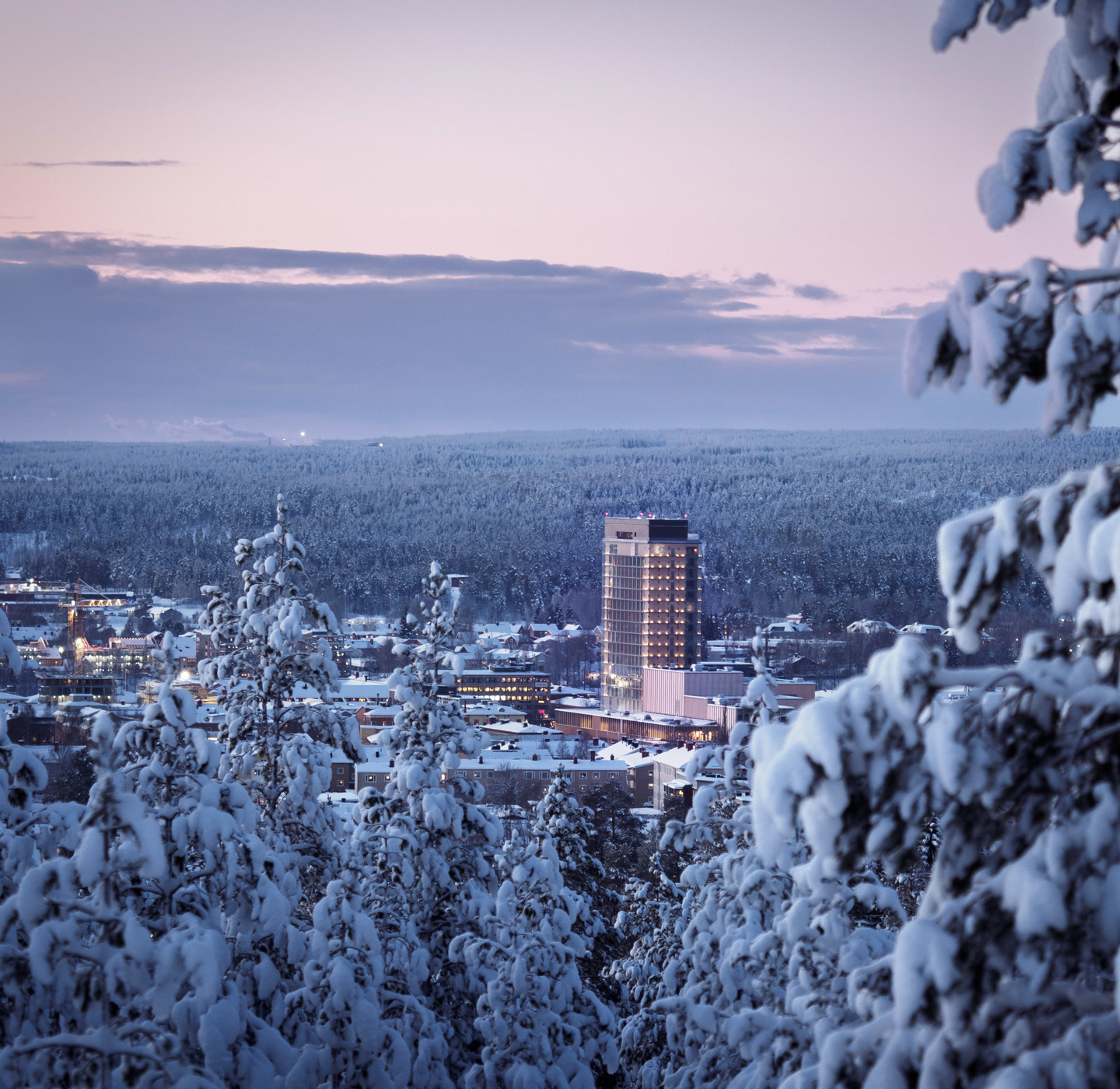 Foto: Visit Skellefteå Snöiga träd ramar in en överblick av en stad.