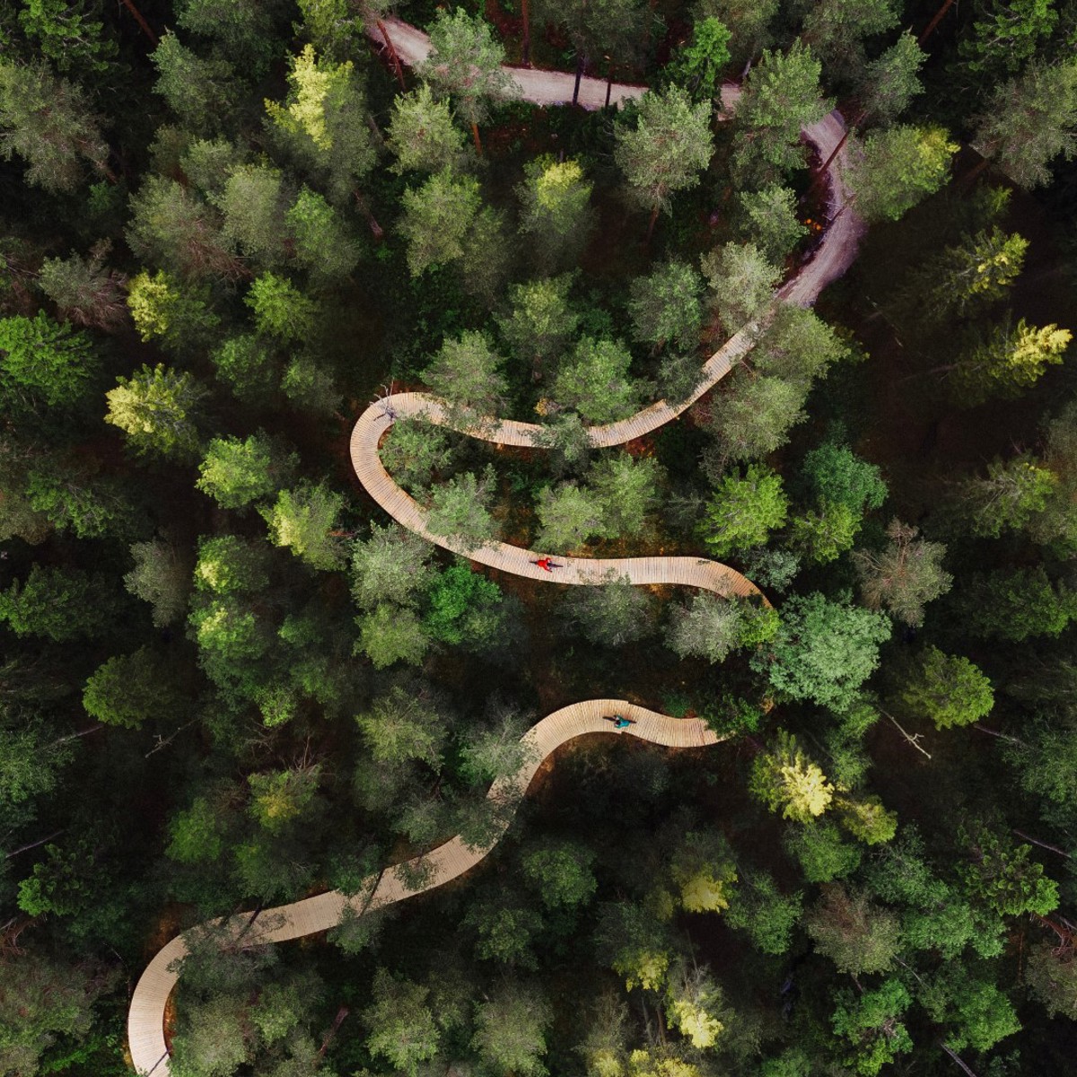 Foto: Visit Skellefteå Cykelväg som ringlar genom skogen