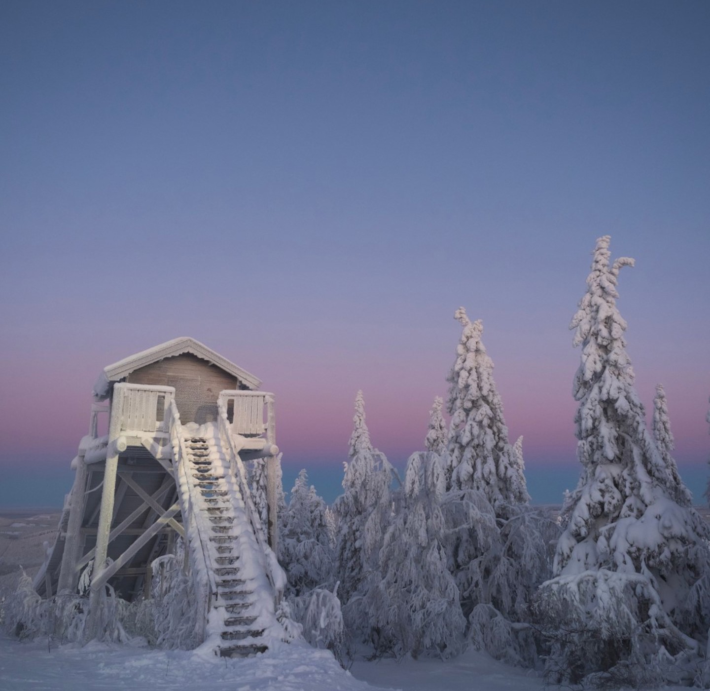 En vinterbild med en stuga med lång trappa upp. Snöklädda träd och rosa-blå himmel. 